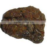 Chinese Green Propolis thumbnail-5