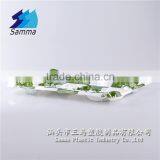 KW-0007FG-GN BOPS Sushi Tray With Transparent Lid thumbnail-2