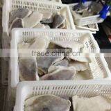 Fresh Frozen John Dory Fillet 150-200g Good Quality thumbnail-4