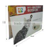 Colorful a5 Leaflet/brochure Stand/ Holders Printing