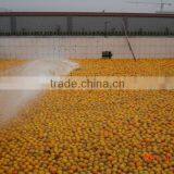 Citrus Processing Line for Produce Orange Juice thumbnail-4