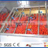 Tomato Paste Machine thumbnail-2