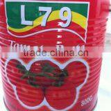 china tomato paste ketchup factory 800g double concentrated canned l79 alavie