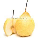 Fresh ya Pear&new Crop&the Most Lowest Price thumbnail-1