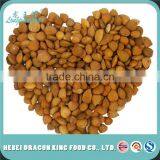 Raw Apricot Seeds thumbnail-1