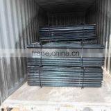 Australian Star Picket thumbnail-1