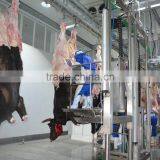 Halal Ritual Slaughtering Equipment Equipping to Cattle Slaughter House thumbnail-6