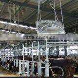 Axial Exhaust Fan/cooling Fan/ventilating Fan for Poultry Farm thumbnail-5