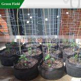 Powder Coated Tomatoes Plant Cage thumbnail-1