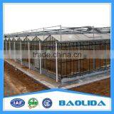 Galvanized Steel Structure Glass Cover Greenhouse Used Commercial Greenhouses thumbnail-3