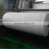 Polypropylene Spun-bond Non-woven Fabric for Agriculture 3% UV thumbnail-1