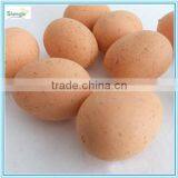 J080654 Artificial Egg thumbnail-2