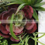 Fake Grass Wall China Factory House Use Artificial Living Wall thumbnail-3