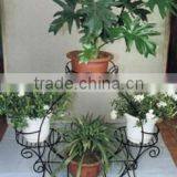 Wrought Iron Standing Flower Rack thumbnail-1