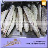 2015 Newly Hot Sale Factory Supply Health Food Fresh Bonito Loin thumbnail-1