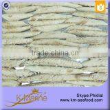 King Marine New Coming Mackerel Frozen Fish and Sea Food thumbnail-1