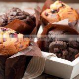 Quality Grade Double Star Baker Bread Improver Recipe for Baking a Chocolate thumbnail-6