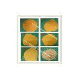 Mealie Meal Grinding Machine,mealie Meal Grinding Equipment,mealie Meal Grinding Plant,mealie Meal Grinding Line thumbnail-3