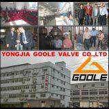 Yongjia Goole Valve Co.,Ltd company overview - view 3 thumbnail