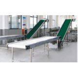 Fruit Conveyor thumbnail-1