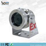 Mini IR Explosion-Proof HD Security Surveillance IP Camera for Marine, Gas Station