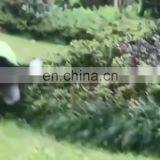 High Quality Pet Raincoat For Dogs Small, Medium And Large Dog Four-Legged Pet Suit Reflective Raincoat For Pets thumbnail-1