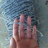 Galvanized or PVC Coated Barbed Wire Cheap Barbed Wire thumbnail-5