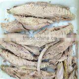 Frozen Precooked Skipjack Tuna Loins thumbnail-1