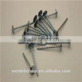 Galvanized Roofing Nails/ Umbrella Roofing Nails thumbnail-5