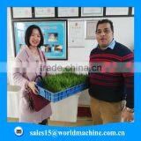 WHIR Export to Saudi Arabia Low Cost Greenhouse for Growing Fodder Barley Grass thumbnail-5