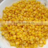 Canned Whole Kernel Sweet Corn DOMEE Brand Yellow Corn thumbnail-1