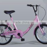 2012 cool bicycle