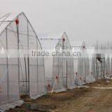 Poly Tunnel Greenhouse Single Span Greenhouse Tunnel Greenhouse for Sale thumbnail-2