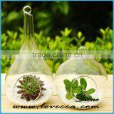 Plant Hanging Teardrop Shaped Glass Vase for Sale thumbnail-2