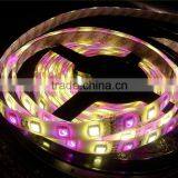 Colorful Powered Festive Atmosphere Christmas Decorating Led Lights thumbnail-5