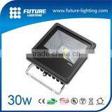 Outdoor Black Aluminum Housing New Style Floodlighting 30w Led Flood Light