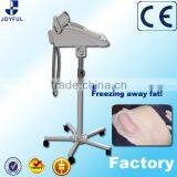 Express Portugues Criolipolisis 2016 thumbnail-2