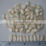 Good Snack Popular Products Chinese Pumpkin Seeds
