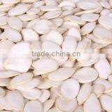 2012 Crop Snow White Pumpkin Seeds thumbnail-1