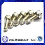 Zinc Plated Carbon Steel Inner Hex Thread Screw Bolt thumbnail-5