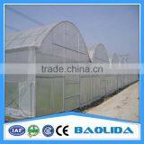 Factory Price Galvanized Steel Frame Agricultural Plastic Green House thumbnail-5