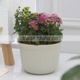 Plastic Round Succulent Plant Pot/Cactus Plant Pot Flower Container thumbnail-6
