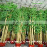 SJLJ013495 Artificial Tree and Plant Decorative Artificial Bamboo thumbnail-1