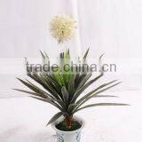 SJ3000101 Factory Wholesale Artificial Home Bonsai Flower Shrubs Tree for Sale thumbnail-5