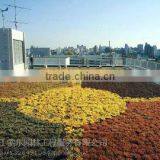 SOL 2015 pp Material Roof Pot Green Roof Container for Decoration thumbnail-5