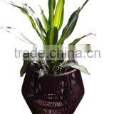 Outdoor Garden Set /Flower Pot thumbnail-1