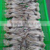 Frozen Tweed Bait Squid Heads thumbnail-6