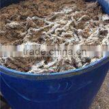 Salted Anchovy in Barrel thumbnail-6