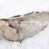 Patagonian Toothfish thumbnail-2