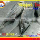 WHOLE ROUND FROZEN SKIPJACK TUNA thumbnail-1